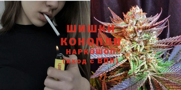 прущие крисы Няндома