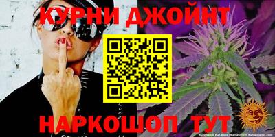 спайс Гай