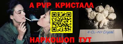 спайс Гай