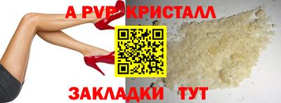 спайс Гай