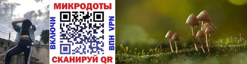 где найти наркотики  Клинцы  Галлюциногенные грибы мухоморы 