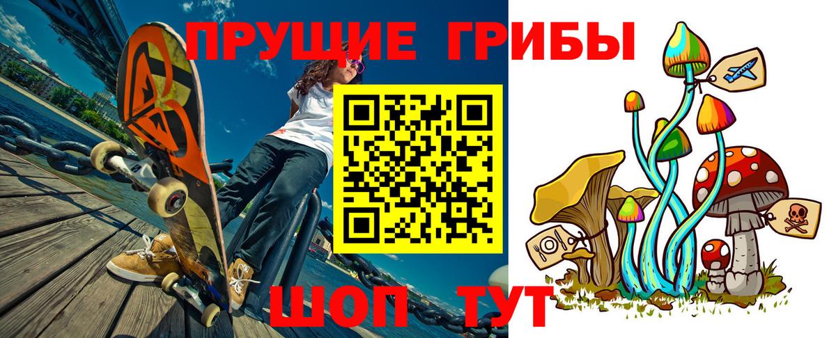 Клинцы  Галлюциногенные грибы Psilocybe  Вход с VPN 