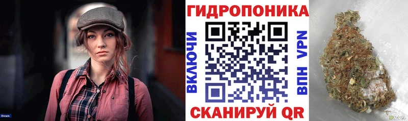 магазин  наркотиков  Клинцы  Канабис Bruce Banner 